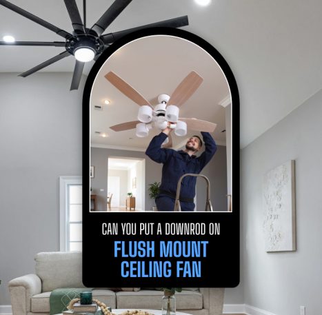 Mount Ceiling Fan