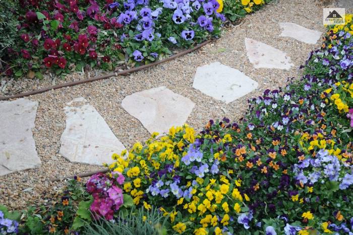 Flowers And Stepping Stones