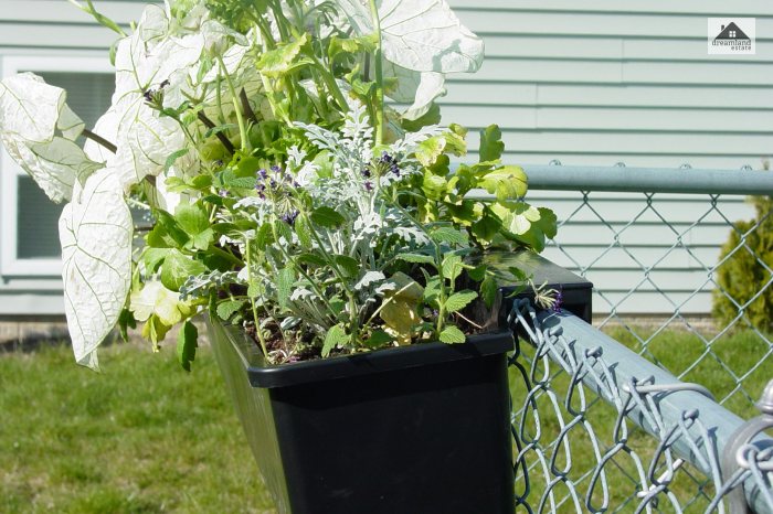 Chain Link Fence With Planters