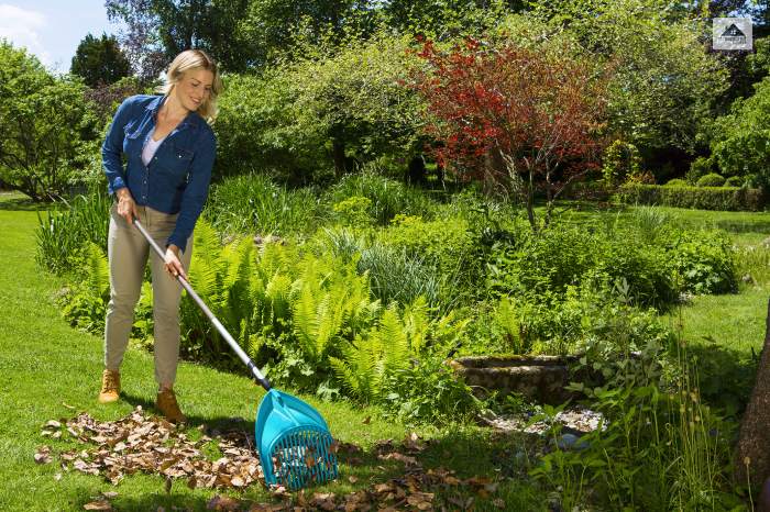 Rake and Shovel