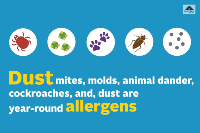 Free From Pollens, Dust, Or Allergens