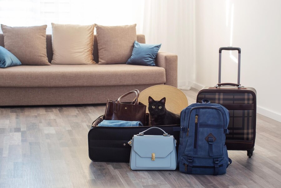 Moving Essentials Bag