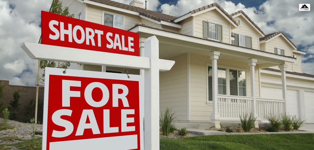 What motivates a short sale