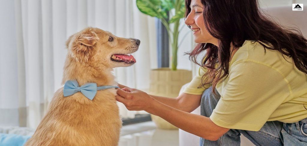 10 Things Pet Parents Often Overlook When Renting