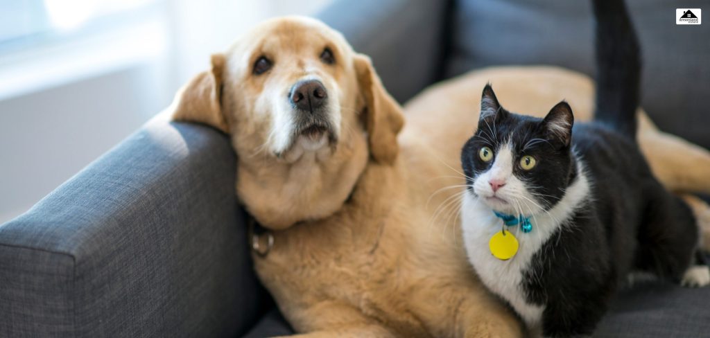 Pet-Friendly Apartments For Rent In Fresno, CA_ Local Pet Regulations