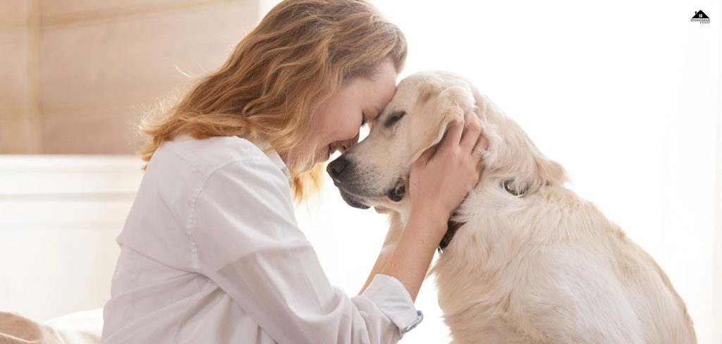 What Are The 10 Things Pet Parents Often Overlook