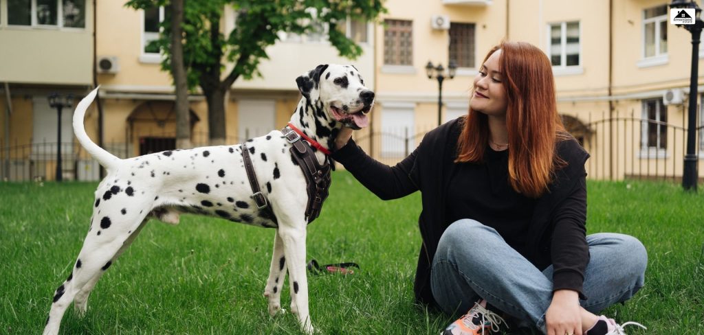 What Makes A Home Truly Pet-Friendly