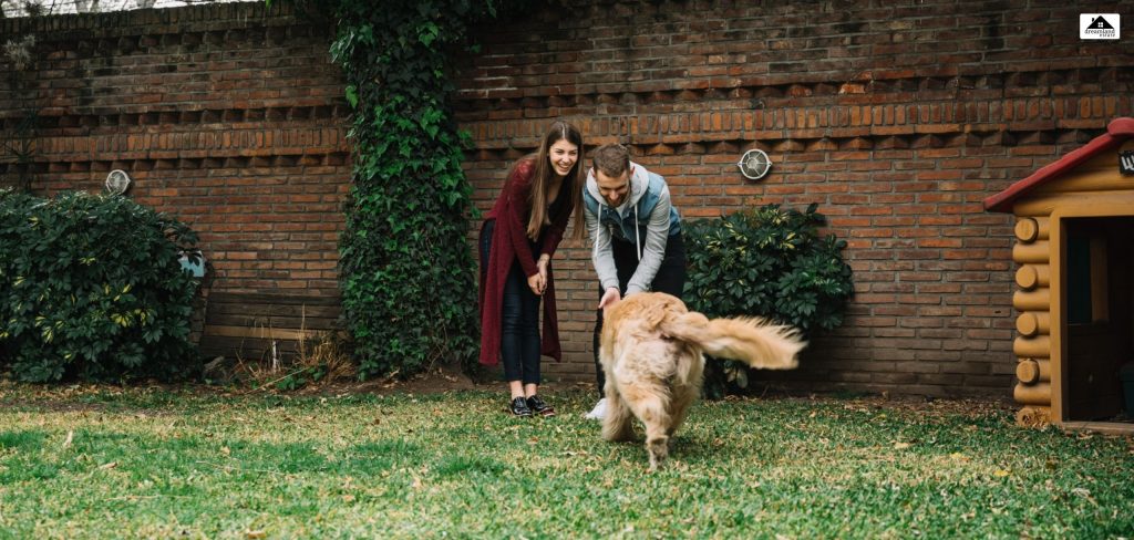 Why Boise Is A Haven for Pet Owners