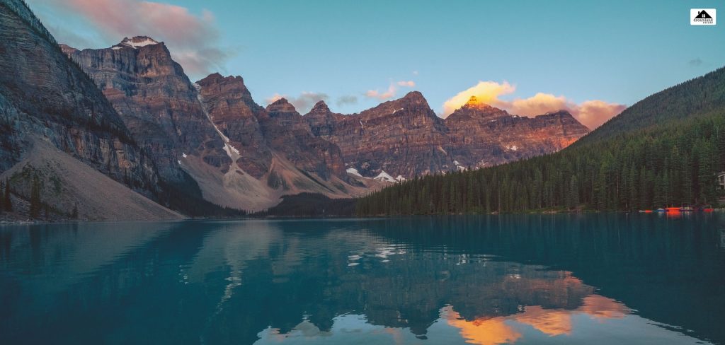 Expert Advice for Active Buyers