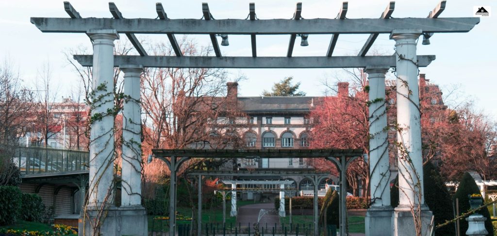 Expert Advice_ Why Clermont Is Booming In 2026