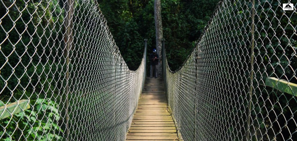 150-Foot Residential Chain Link Fence Cost The Real World Example