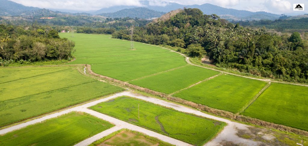 What Is The Cost Of Acre