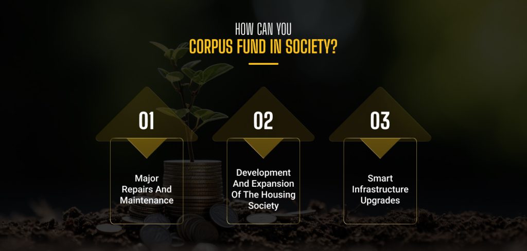 How Can You Use Corpus Fund In Society