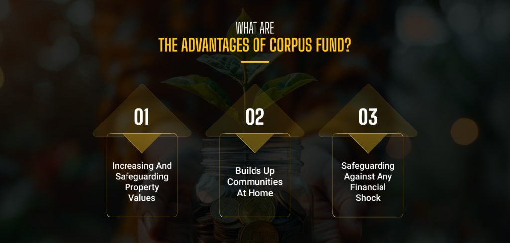 What Are The Advantages Of Corpus Fund